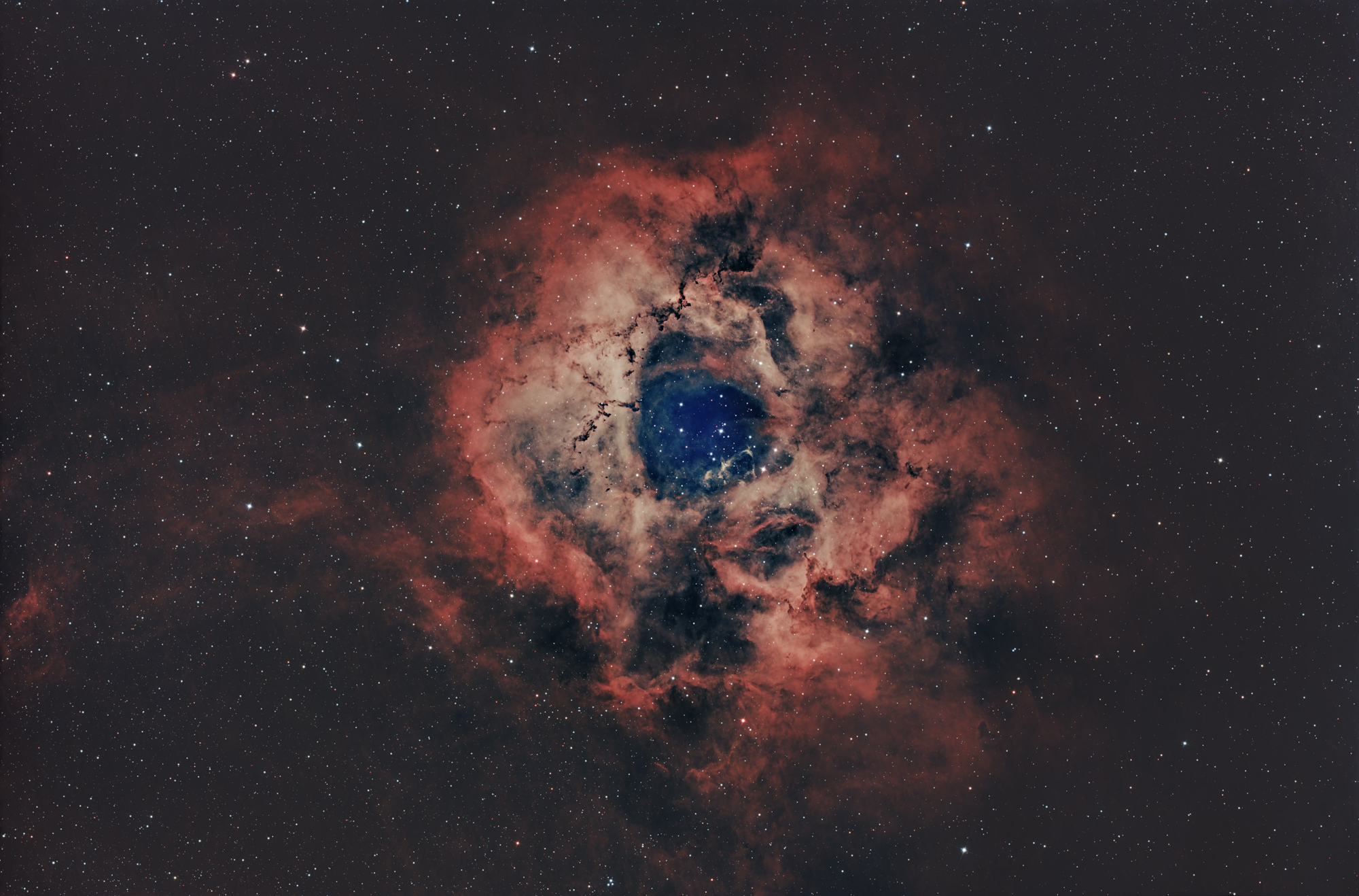 Der Rosettennebel (Caldwell 49) ist eine H-II-Region, die sich am Rand einer riesigen Molekülwolke in der Einhorn-Region der Milchstraße befindet. Die Sterne des offenen Sternhaufens NGC 2244 im Zentrum sind aus der Materie des Nebels entstanden.